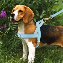 Custom PU Laser Engraved Dog Chest Harness, Personalized Pet ID Chest Strap Anti-Lost