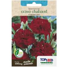 Chabaud Carnation Seeds (Red) TOPSEED - Màu be - Xem 2