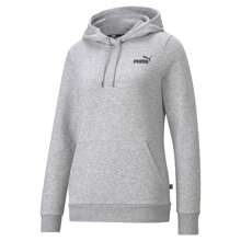 Puma Womens/Ladies ESS Logo Hoodie (Grey) - Grey - View 1