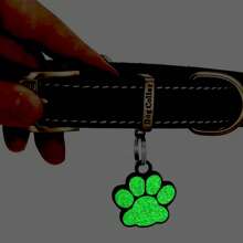 1个可定制的可爱动物狗爪牌，可刻上您的电话号码和宠物名字，宠物身份牌，适合户外活动，防止走失，可挂在猫/狗项圈上，宠物吊坠。 - 紅色 - 查看 3