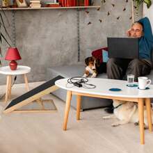 VA-Cerulean Foldable Dog Ramp Pet Stairs 100cm Long Large Cats And Dogs Anti-Slip Dog Entry Aid Up To 100kg Car Pet Stairs Portable Non-Slip Height Adjustable 30-60cm - Apricot - View 5