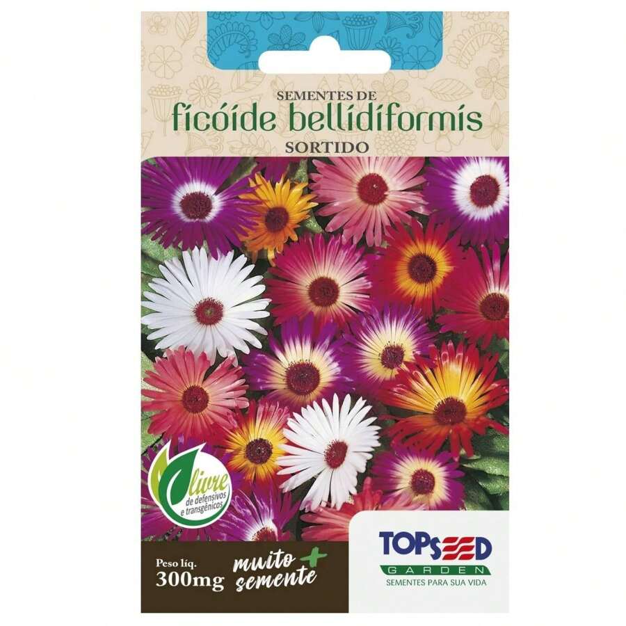Bellidiformis Phycoid Seeds (Assorted) TOPSEED - 杏色 - 查看 1