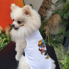 宠物猫狗卡通创意可爱熊猫滑板猫狗印花背心春夏季透气舒适中小型犬背心 - 白色 - 查看 7