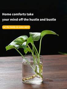 1 件玻璃花瓶水培花盆微景观鱼缸装饰，多种尺寸 - 無色 - 查看 4