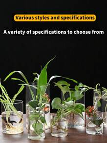 1 件玻璃花瓶水培花盆微景观鱼缸装饰，多种尺寸 - 無色 - 查看 2