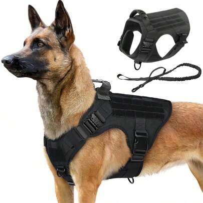 2 piezas Arnés y correa táctica para perro, resistente, ajustable, con asa Molle para perros medianos y grandes, perros de servicio, perros militares, senderismo, caza