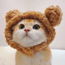 1 可爱的宠物猫/狗头饰，可调节宠物帽，适合猫和狗，宠物头饰，有趣的宠物服装配饰。