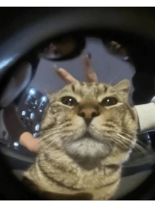 Ống kính máy ảnh điện thoại kẹp 3 trong 1 Fisheye 180°, góc rộng & macro trang trí Giáng sinh (Màu ngẫu nhiên) - Nhiều màu - Xem 5