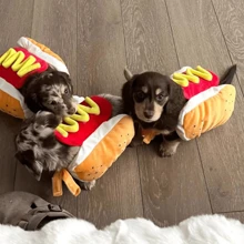 Disfraz de mascota estilo hamburguesa, disfraz de mascota divertido de perro caliente, disfraz de perro para Halloween