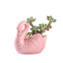 Macetas de cerámica para suculentas, maceteros de estilo americano creativo para balcón, jarrones decorativos para flores de hotel, pequeños adornos - Multicolor - Ver 2