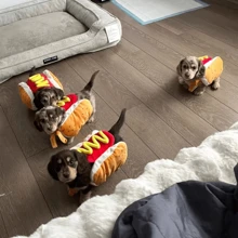 Disfraz de mascota estilo hamburguesa, disfraz de mascota divertido de perro caliente, disfraz de perro para Halloween