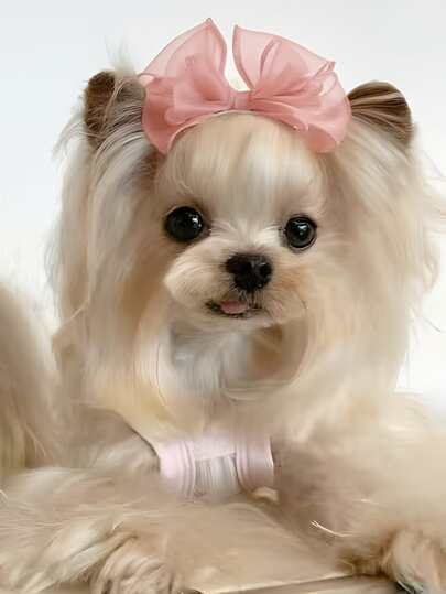 كليب شعر قطة كلب كبير الحجم ذو طبقات 3 بشكل فرفري، اكسسوار شعر توليل لطيف للحيوانات الأليفة