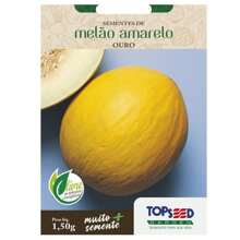 Yellow Melon Seeds (Gold) TOPSEED - Màu be - Xem 2