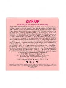Rubor Individual Pink Up Rubor Compacto Mate Suave y de Larga Duración para Todo Tipo de Pieles 4g - 01 Real Coral - Ver 6