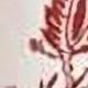 Linen Red