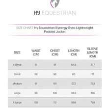 Hy Womens/Ladies Synergy Lightweight Padded Jacket (Black) - Black - View 4