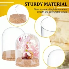 2Pcs Glass Display Dome Cloche 4.2x3.2 Inch Bell Glass Jars With Cork Base Glass Dome Display Case For Flower Specimens Inner Diameter: 3 Inch - Clear - View 4