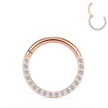 1PC 16G Front Zirconia Hinged Segment Septum Nose Ring Hoop Hypoallergenic Stainless Steel Black 8mm Helix Cartilage Earring 18K Gold Plated 6mm Daith Earrings Conch Piercing Jewelry Tragus Lobe Rook Earring,10mm Earlobe Earring,Eyebrow/Belly Button Hoop,Body Piercing Jewelry Decoration For Women And Men - N006 - View 22