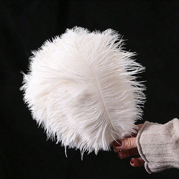 5/10Pcs 20-25CM Artificial White Feather Crafts DIY Valentine's Day Gift Packaging Accessories Party Plume Sewing Clothing Accessories Feathers Wedding Jewelry Making Home Decor