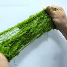 10g Rêu giả nhung lông, Rêu giả nhân tạo, Đồ trang trí cảnh quan vi mô, Đồ trang trí cây cảnh trong chậu và cảnh quan - nhiều màu - Xem 2