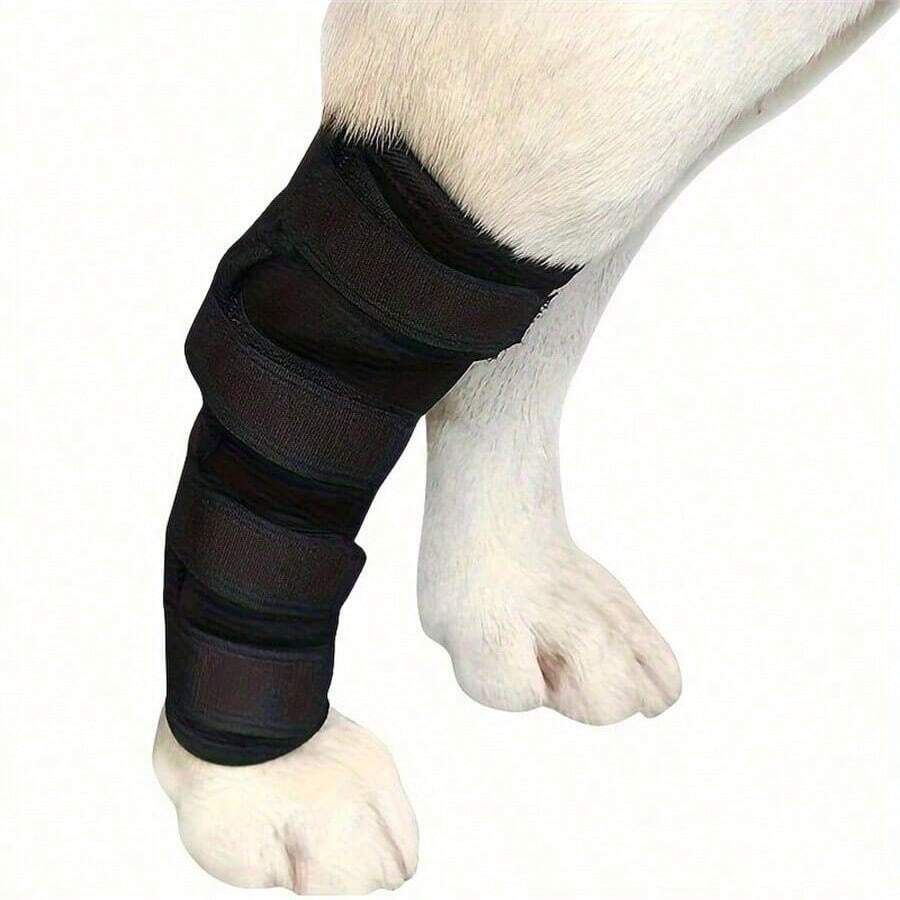 Bandage de compression de support articulaire de la patte arrière (postérieure) pour chien, pour