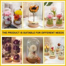 2Pcs Glass Display Dome Cloche 4.2x3.2 Inch Bell Glass Jars With Cork Base Glass Dome Display Case For Flower Specimens Inner Diameter: 3 Inch - Clear - View 6