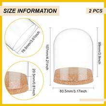 2Pcs Glass Display Dome Cloche 4.2x3.2 Inch Bell Glass Jars With Cork Base Glass Dome Display Case For Flower Specimens Inner Diameter: 3 Inch - Clear - View 2