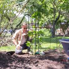 2 Packs Garden Obelisk Trellis 5.9FT Plants Tower For Climbing Plants Flower Vegetable Vine Support Rustproof Garden Plant Trellis Black Outdoor Decor