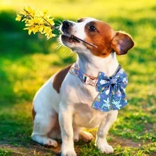 Collar de perro personalizado de nailon con estampado de lazo, correa para el cuello ajustable, anti-pérdida