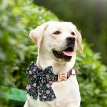 Collar de perro personalizado de nailon con estampado de lazo, correa para el cuello ajustable, anti-pérdida