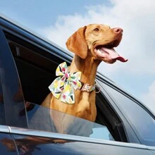 Collar de perro personalizado de nailon con estampado de lazo, correa para el cuello ajustable, anti-pérdida