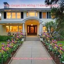 1/2 Đèn năng lượng mặt trời hình bướm Đèn LED chống thấm nước Đèn trang trí cảnh quan ngoài trời Hoàn hảo cho Sân hiên ngoài trời Sân hiên Lối đi trong vườn Trang trí bãi cỏ (Trắng ấm & Nhiều màu) - Nhiều màu - Xem 7