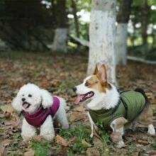 Adjustable Dog Jacket Suitable For Small, Medium And Large Dogs - Reflective Wool-Lined, Adjustable Buckles And Dual D-Ring Leash Attachment