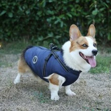 Adjustable Dog Jacket Suitable For Small, Medium And Large Dogs - Reflective Wool-Lined, Adjustable Buckles And Dual D-Ring Leash Attachment