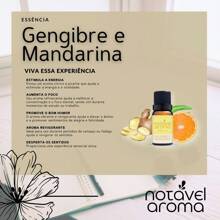 Concentrated Essential Oil For Diffuser Aromatizer Humidifier Room Oil Base - Ginger and Mandarin - View 3