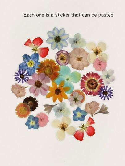 20 件/包花瓣贴纸，创意剪贴簿装饰 DIY 贴纸，返校用品