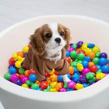 50 个球坑球，混合星星，2.15 英寸/5.5 厘米，柔软防压塑料玩具球，适用于球坑、儿童泳池水上玩具、婴儿围栏配件、幼儿球、派对玩具球、水上玩具球、万圣节装饰礼物 - 彩色 - 查看 5