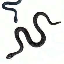 Set de 5 piezas/10 piezas/20 piezas de juguetes de serpiente de goma realista en agua, broma, accesorio DIY - Negro - Ver 4
