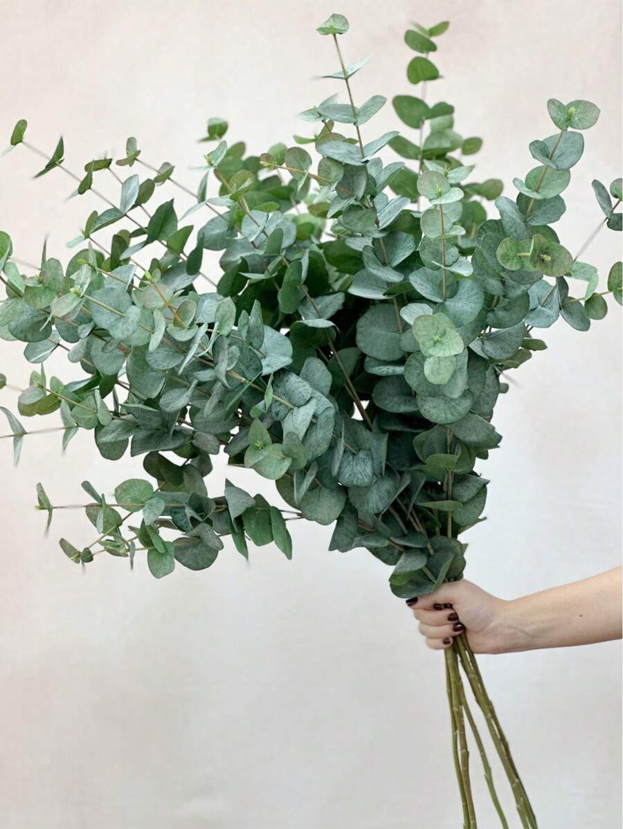 Set de 5 piezas/3 piezas/1 pieza de 60cm Ramas falsas de eucalipto de tacto real, hojas verdes artificiales a granel para ramos de boda, floreros, arreglos florales, decoración de mesas del hogar y oficina, decoración verde tipo granja, San Valentín, regalo