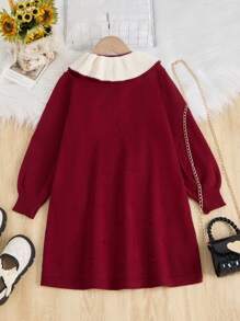 1 szt. Młoda dziewczyna wiosenna stylowa sukienka księżniczki z kołnierzykiem Piotrusia Pana, bordowa