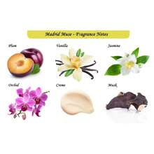 Solo En Ibiza Moisturizing Body Cream 8 Fl. Oz Hydrating Skincare For All Skin Types - Madrid Muse - View 2