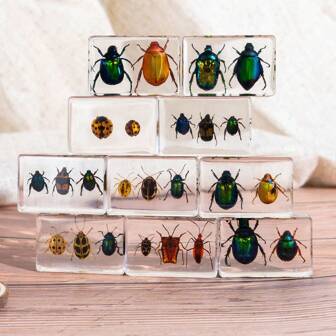 1 pieza Conjunto de modelos de insectos y plantas reales, colección de insectos multiespecie modelo transparente, regalo creativo para decoración, herramienta de enseñanza de insectos, muestra de animales preservados permanentemente, 2 piezas de escarabajos dorados, 3 piezas de mariquitas, 3 piezas de escarabajos de hoja, 2 piezas de arañas, 2 piezas de hormigas, 2 piezas de chinches, conjunto de modelos de insectos de escarabajos de colores, juguete educativo de aprendizaje