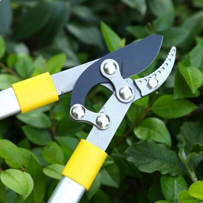 Pruning Scissors, Fruit Trees, Orchards, Gardening, Large Branch Scissors, Strong Scissors, Strong Pruning, Branches Pruning Scissors   Christmas Eve Pruning Artifact
