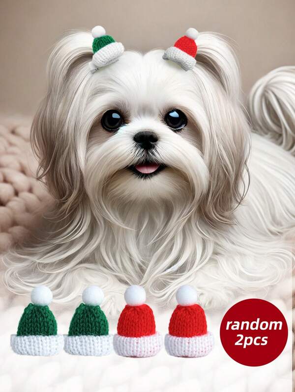 PETCIRCLE 2 pezzi Accessori per animali domestici, Accessori per capelli per cani e gatti, Fermagli per capelli per cuccioli di Chihuahua, Mini cappelli di Natale, di colori casuali