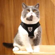 Dog Cat Harness Leash Pet Collar Vest Reflective Strip Pet Walking Outdoor Comfort Safety Leisure Walk - 彩色 - 查看 2