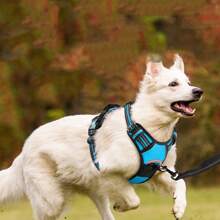 3pcs/Set Ultimate Dog Walking Set - Chest Harness, Leash, Poop Bag Dispenser - Ideal For Medium & Large Dogs, Extra Comfort And Adjustable Fit