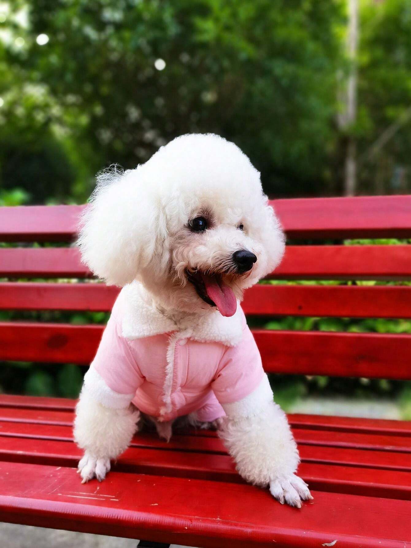 Plush Rabbit Design Dog Harness Jumpsuit Outfit, Pet Clothes for Sale