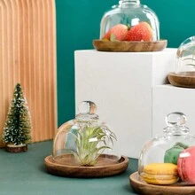 1pc Vintage Wooden Tray With Glass Cover