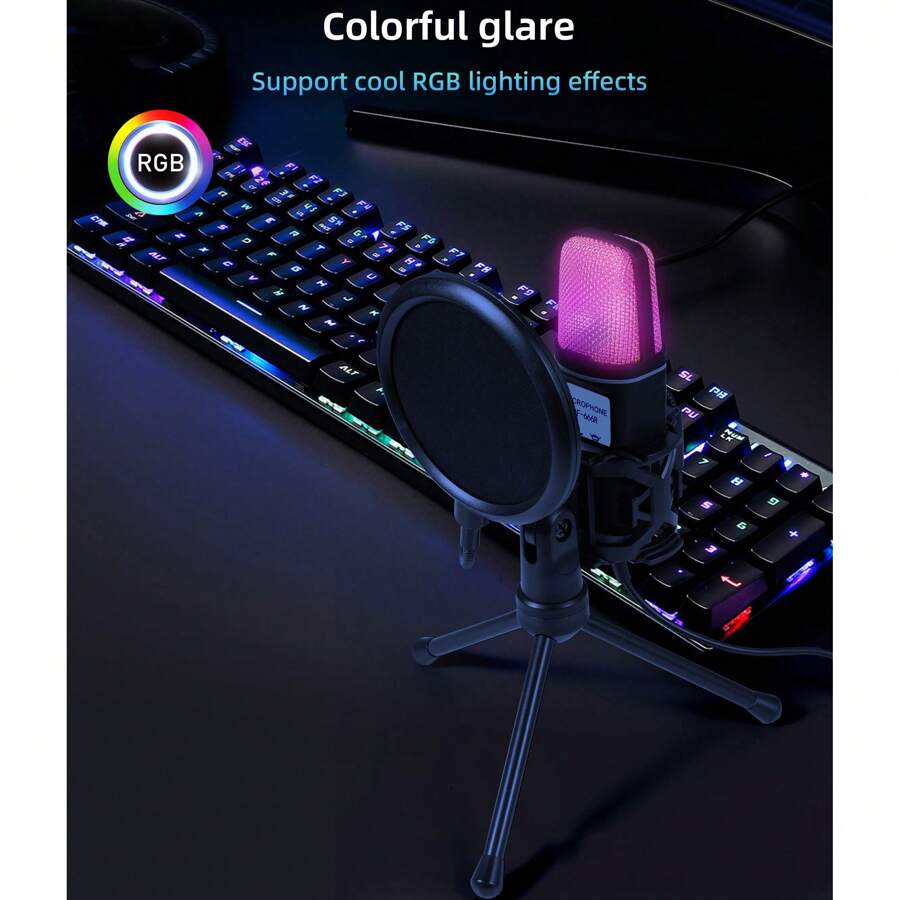 AyeBeau Condenser Professional Microphone Mic For PC Laptop Computer