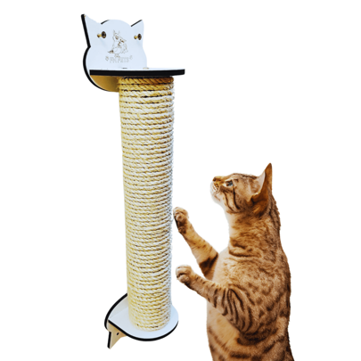 fn pets arranhador de parede para gatos interativo brinquedo de gato fn pet
